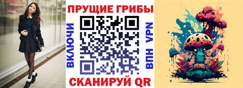 Псилоцибиновые грибы Cubensis  Пудож 